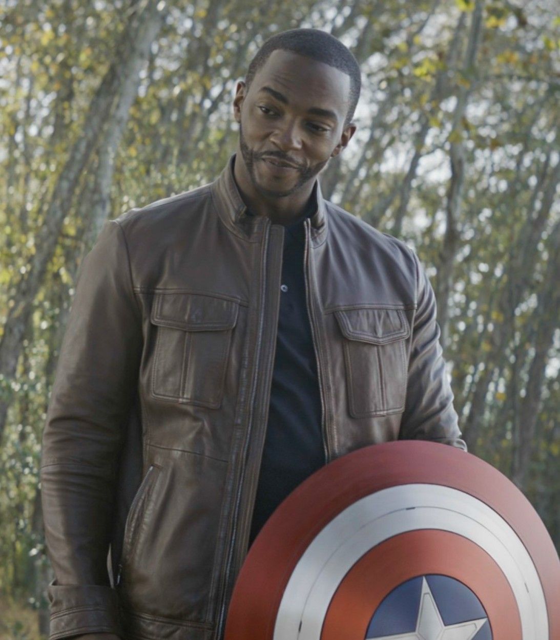 Avengers Endgame Sam Wilson Captain America Shield vertical