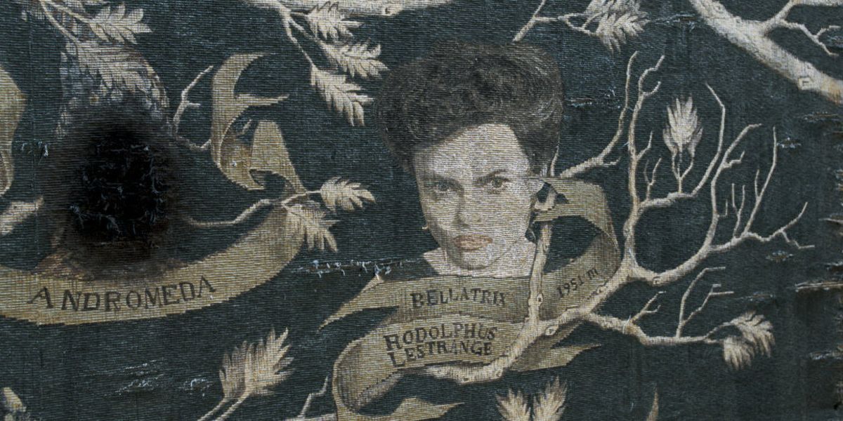 A still of Bellatrix Lestrange on a tapestry from Harry Potter and the Order of the Phoenix.