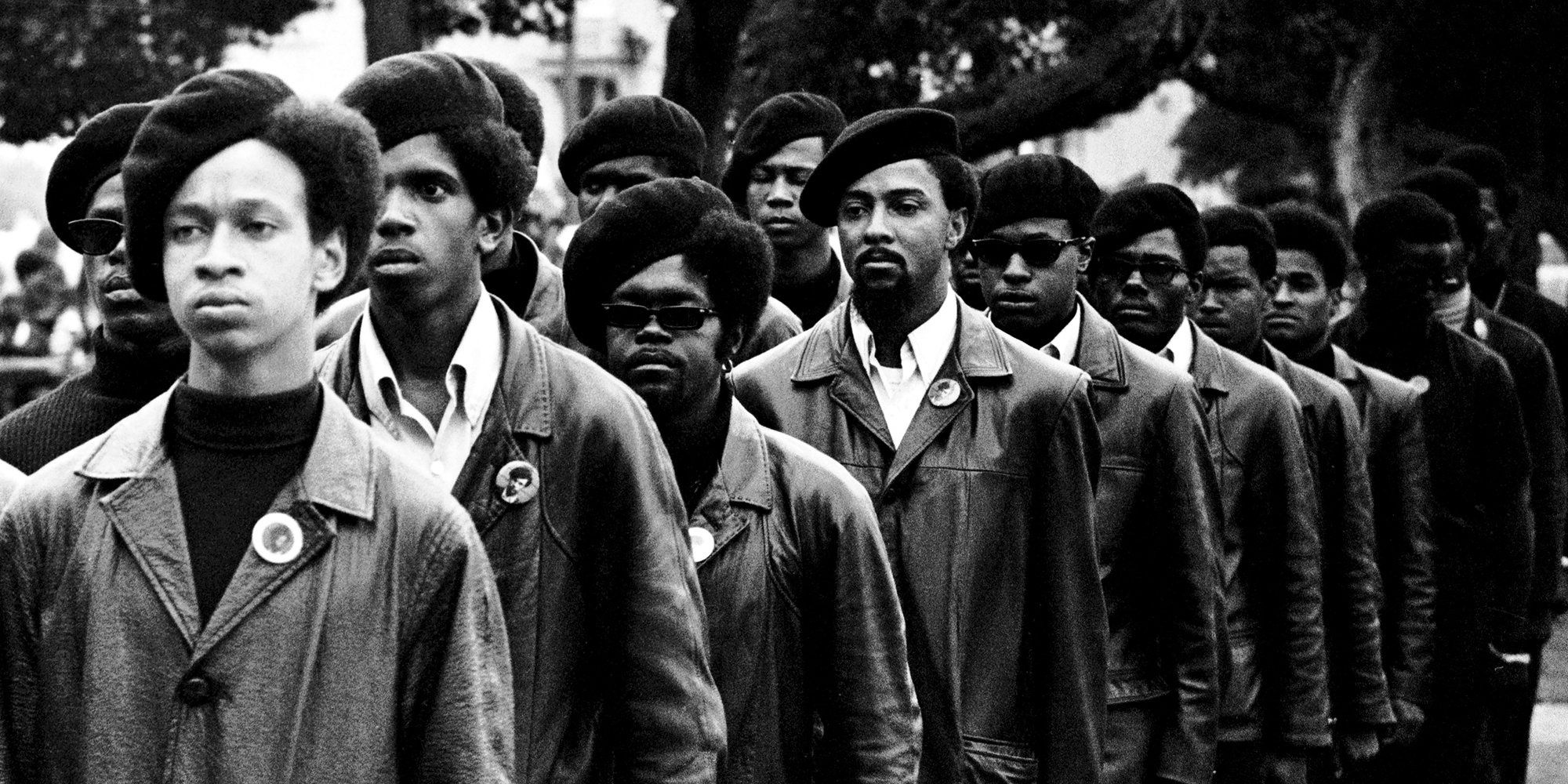 Black Panthers Cropped
