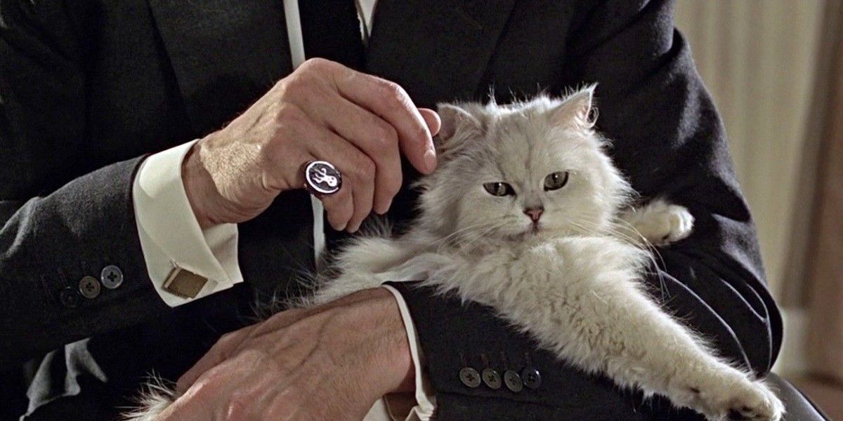 Blofeld Cat in James Bond From Russia With Love