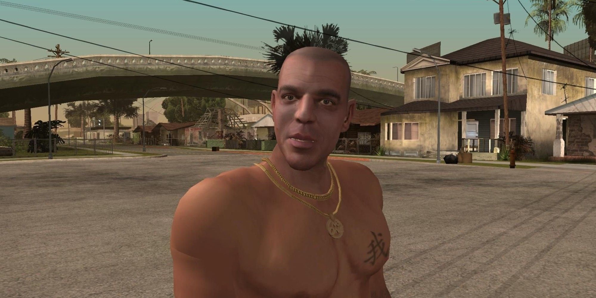 Brucie Kibbutz from Grand Theft Auto IV