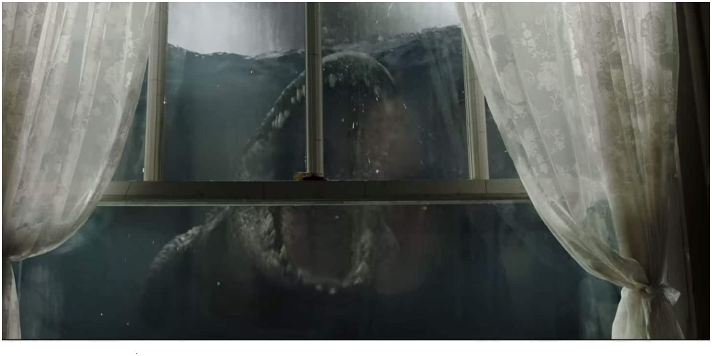Crawl-Window-Alligator