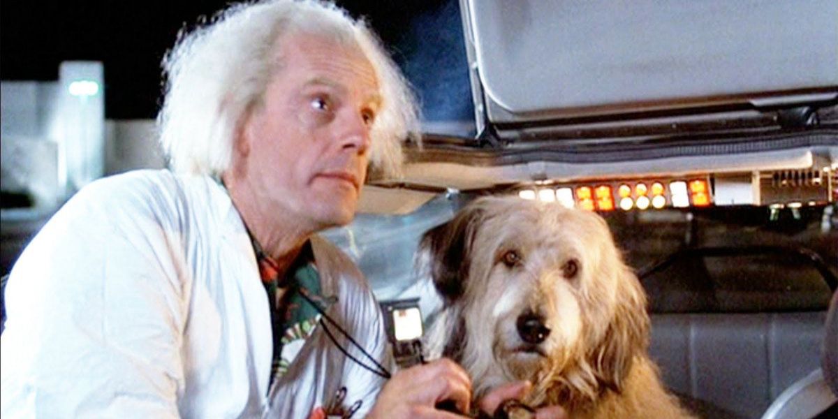 Einstein sits in the delorean with Doc in Back to the Future