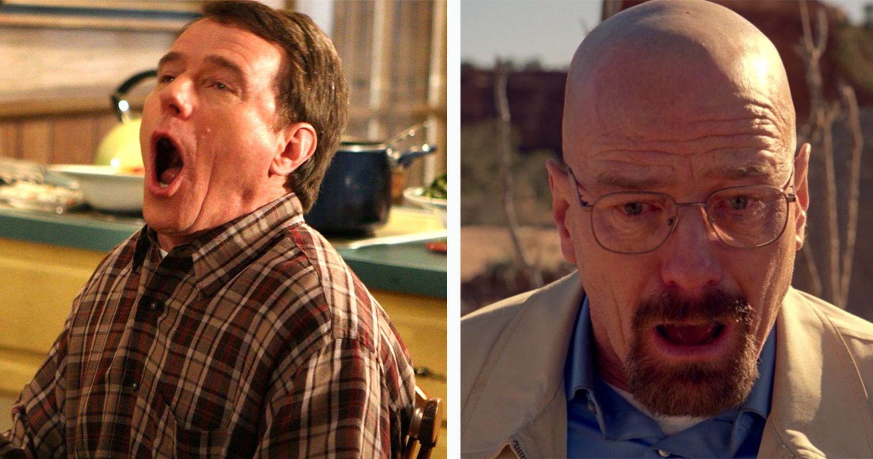 5 Reasons Bryan Cranstons Best Role Is Walter White (& 5 Why Its Hal)