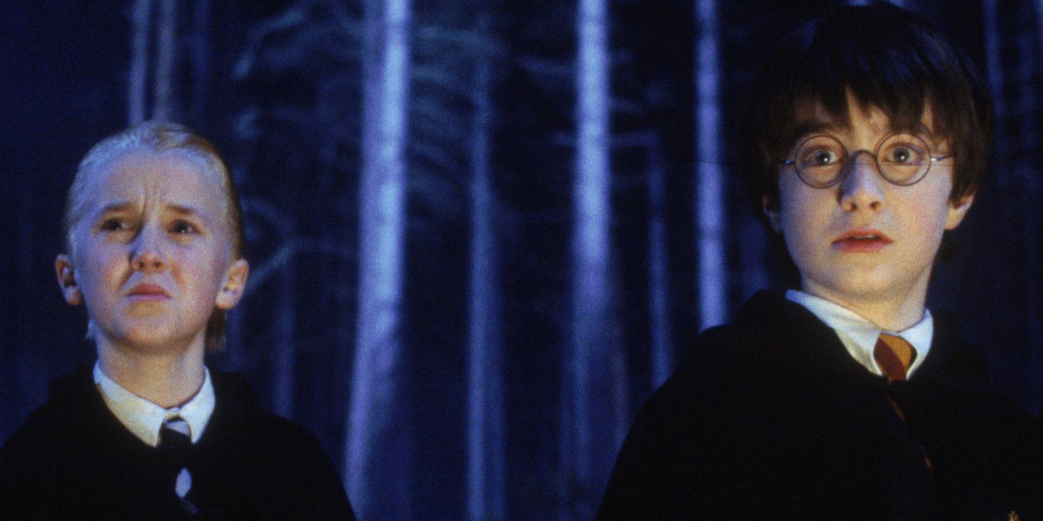 Harry Potter Draco Malfoy and Harry Potter