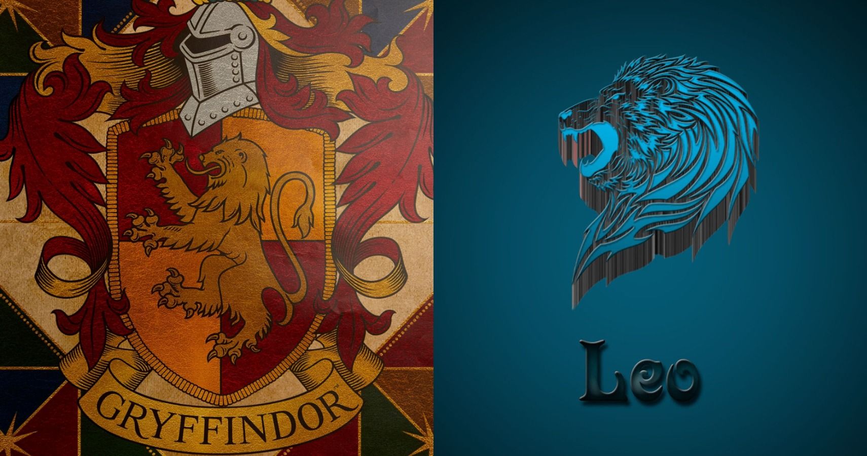 Harry Potter Zodiac Gryffindor Leo Collage Feature