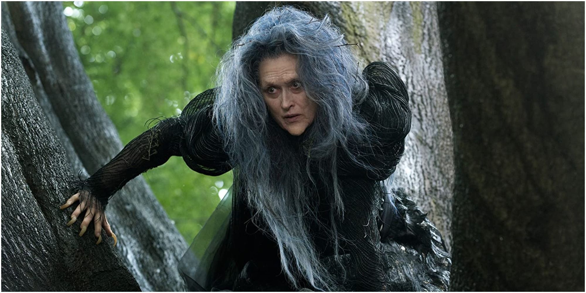 Meryl Streep as The Witch in Into The Woods