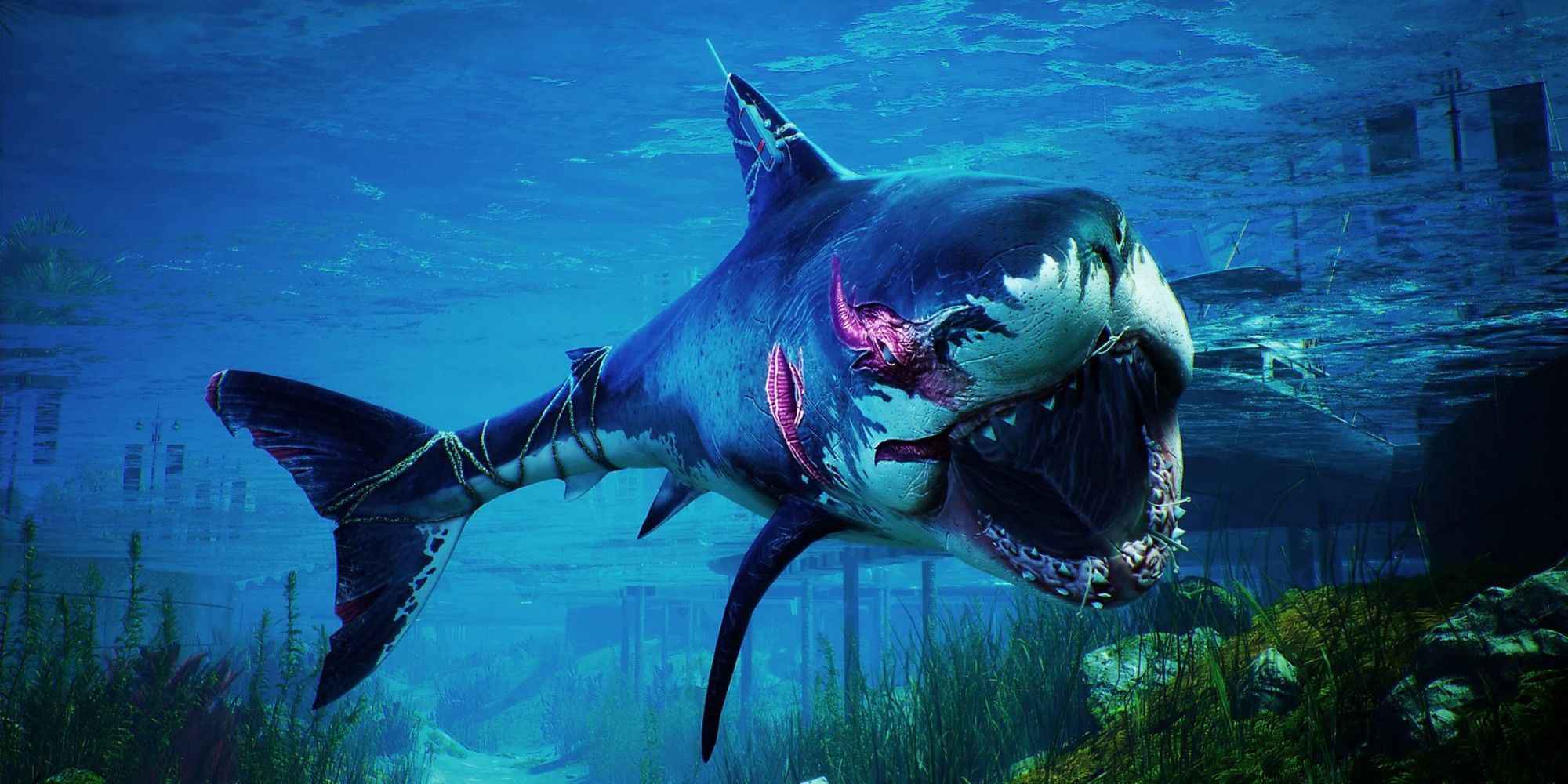 Maneater Shark Evolution