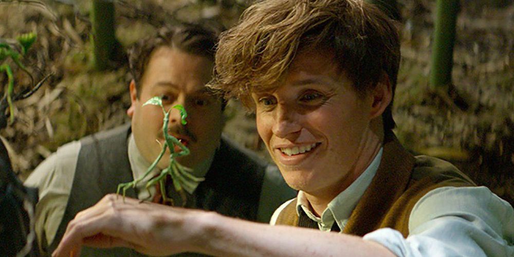Newt Scamander smiling at a bowtruckle in Fantastic Beasts and Where to Find Them