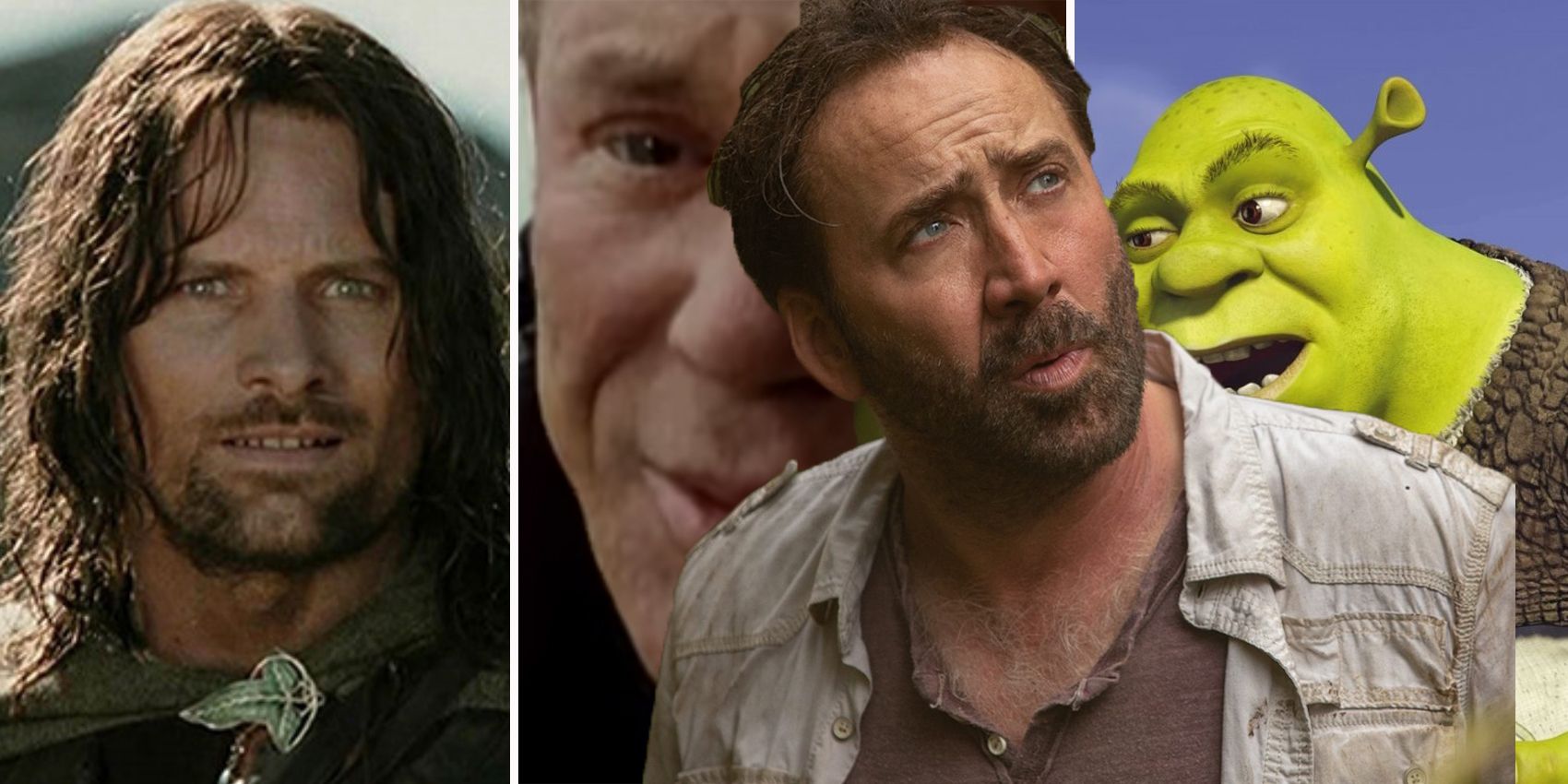 Nicolas Cage Primal Shrek Mickey Rourke Viggo Mortensen Aragorn
