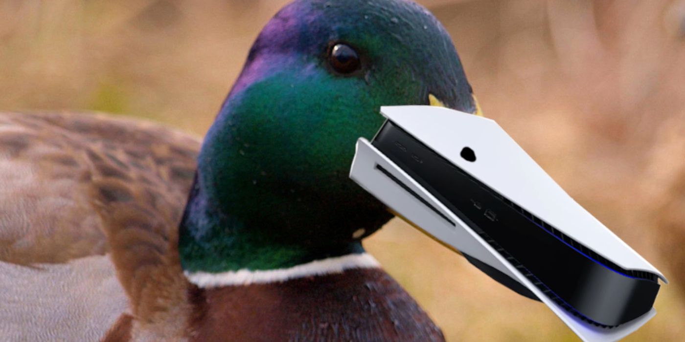 PS5 Memes Duck