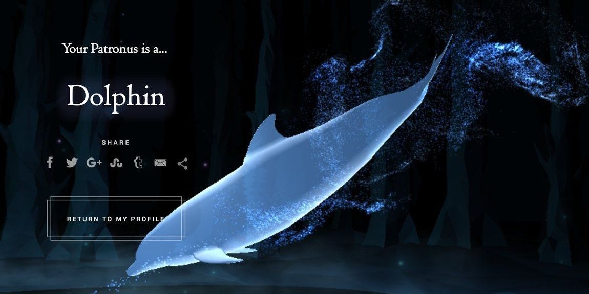 Patronus Dolphin Cropped