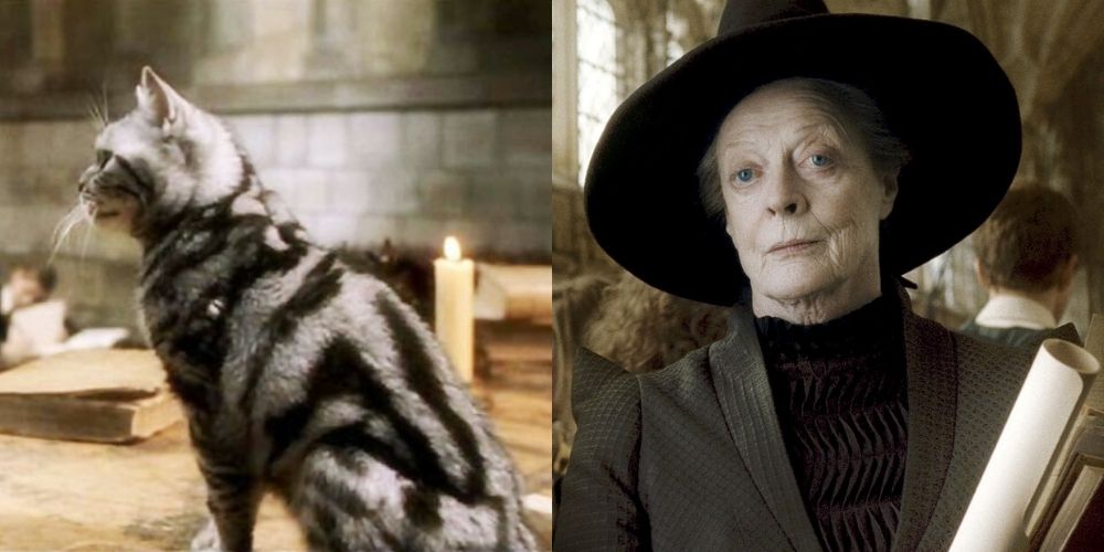 Patronus Likely House Cat