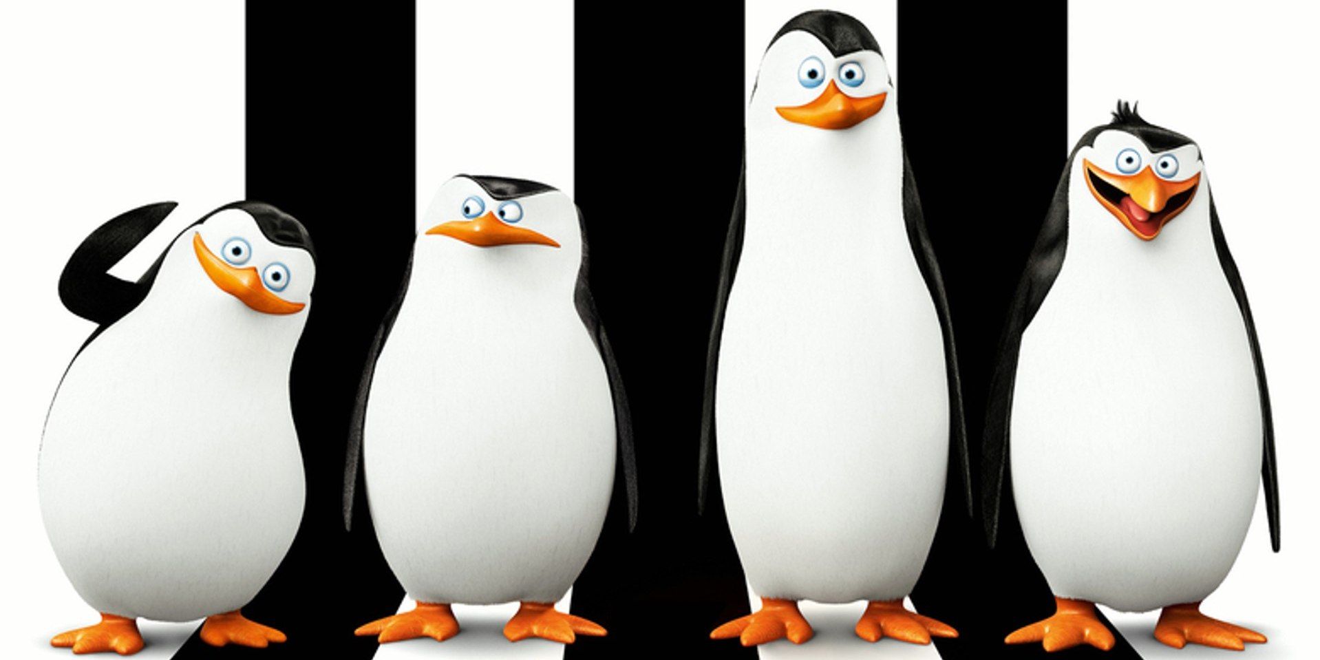 Black and white image of Penguins of Madagascar with penguins standing side by side.