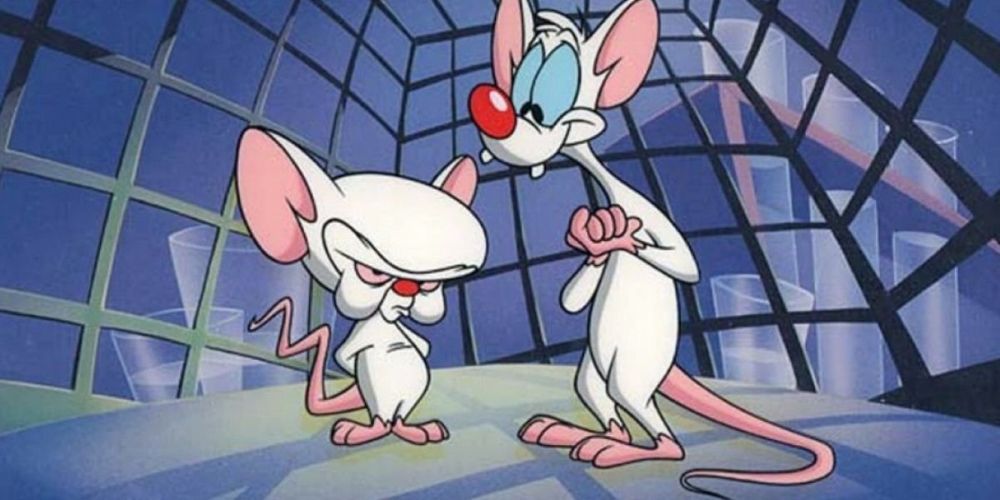 Pinky And The Brain, Kids WB Old Animated Shows