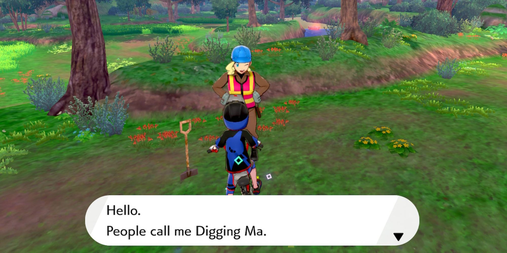 Pokemon Isle of Armor DLC Digging Ma