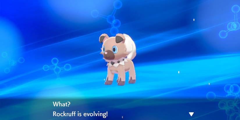 Pokemon Ruffrack Evolution Rockruff Evolutions in Sword & Shield: All 3 Lycanroc Forms Explained
