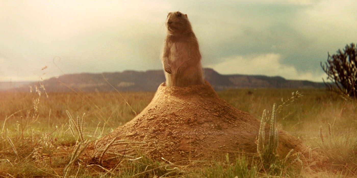 Prairie Dog in Indiana Jones and the Kingdom of the Crystal Skull