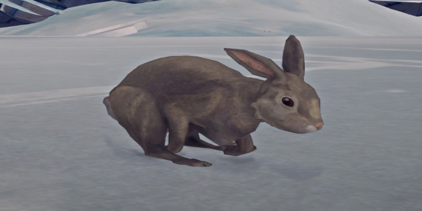 The-Long-Dark-Rabbit
