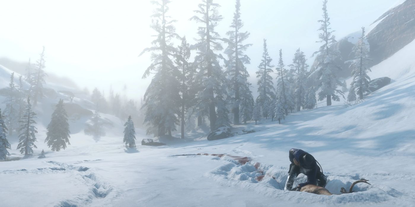Red Dead Redemption 2 Snow Hunting