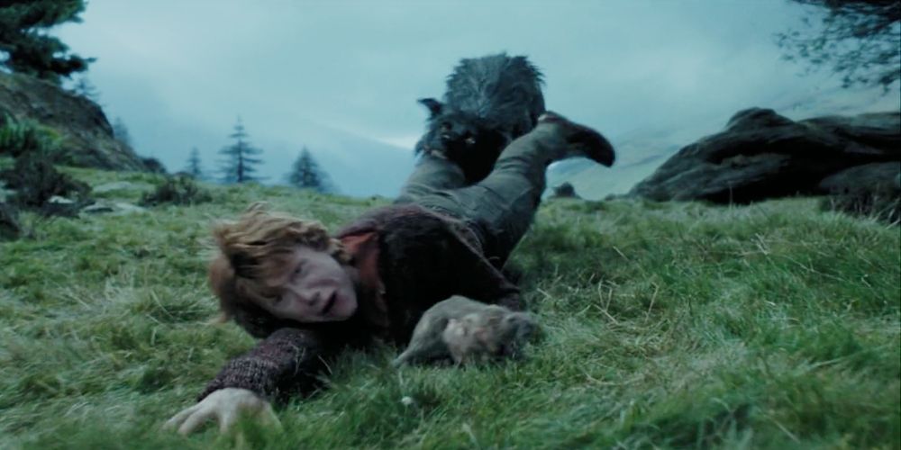 Sirius Black dragging Ron Weasley in Harry Potter and the Prisoner of Azkaban.