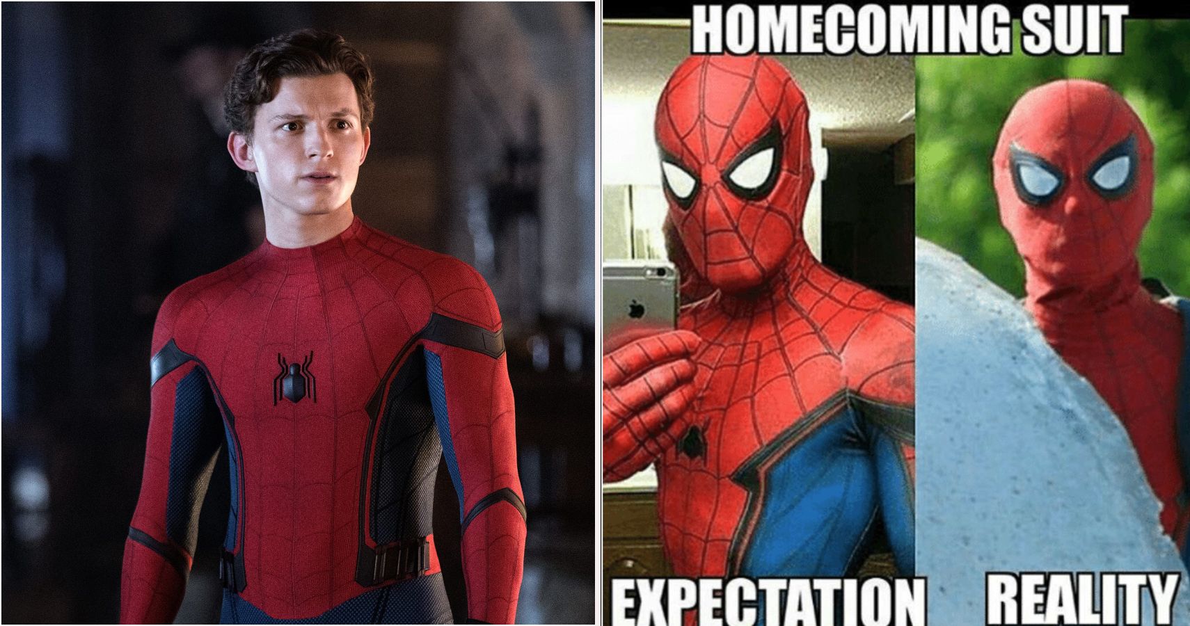 MCU: 10 Hilarious Memes Of Tom Holland As Spider-Man