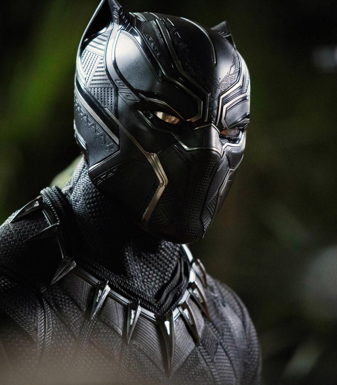 T'Challa Suited Up in Black Panther