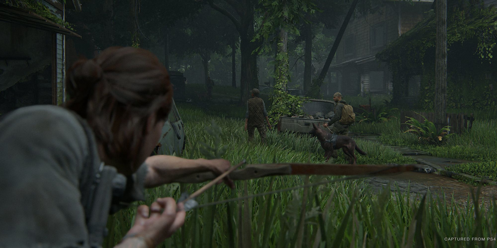 The Last of Us 2 Dogs
