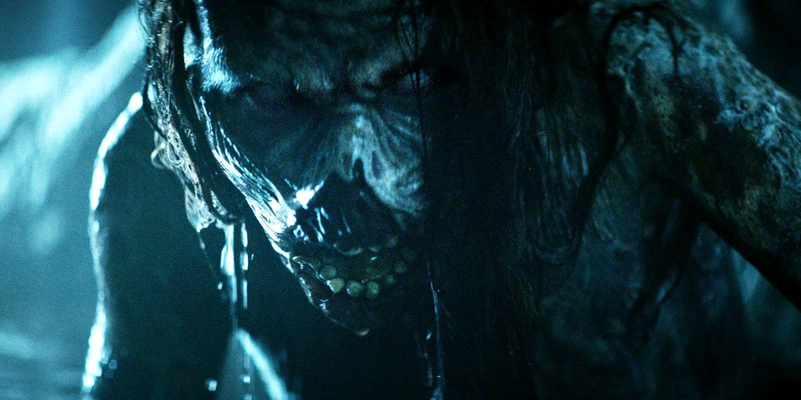 The Wretched witch