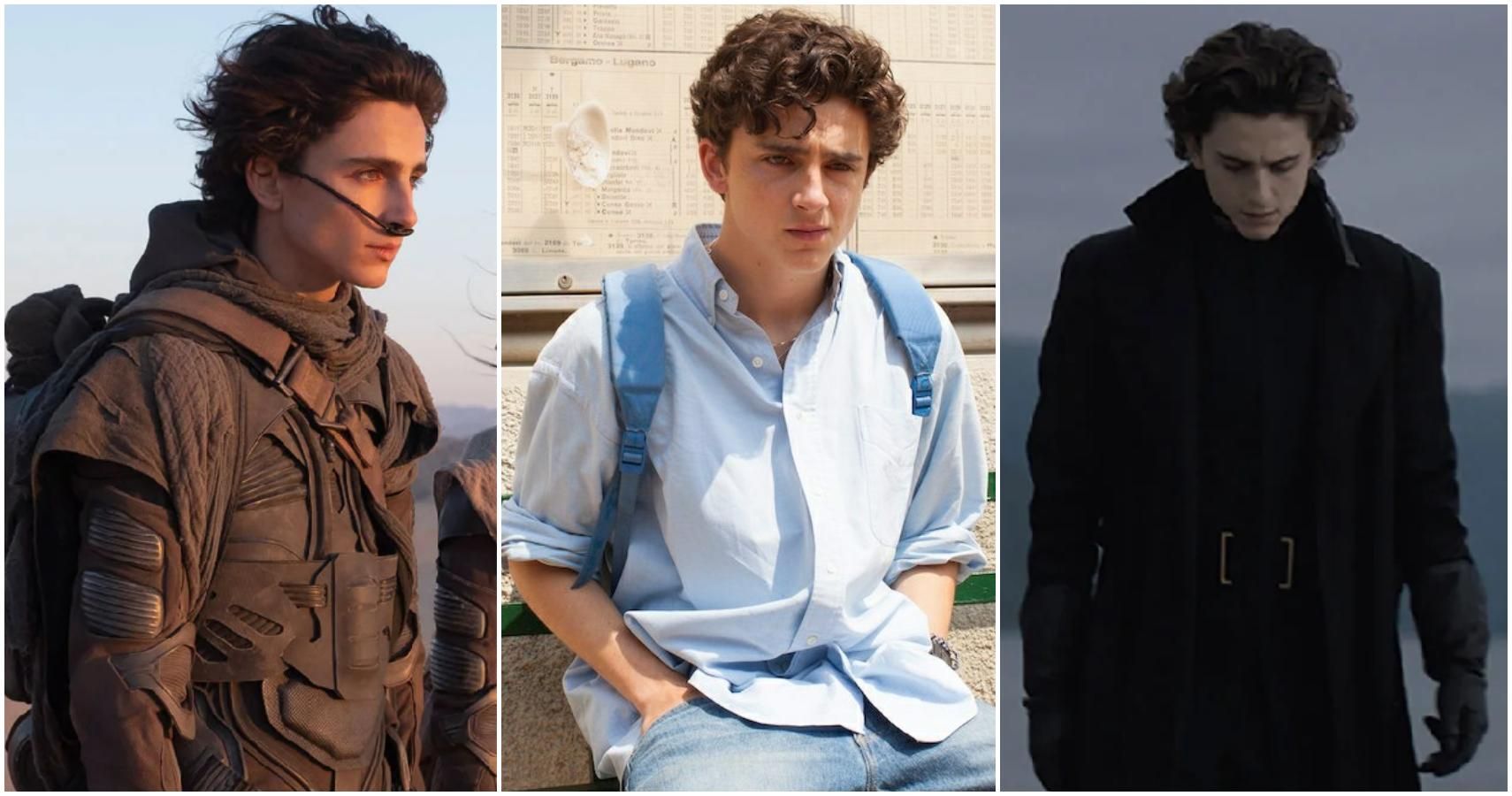 Dune S Timothee Chalamet 10 Facts About His Breakout Role In Call Me By Your Name