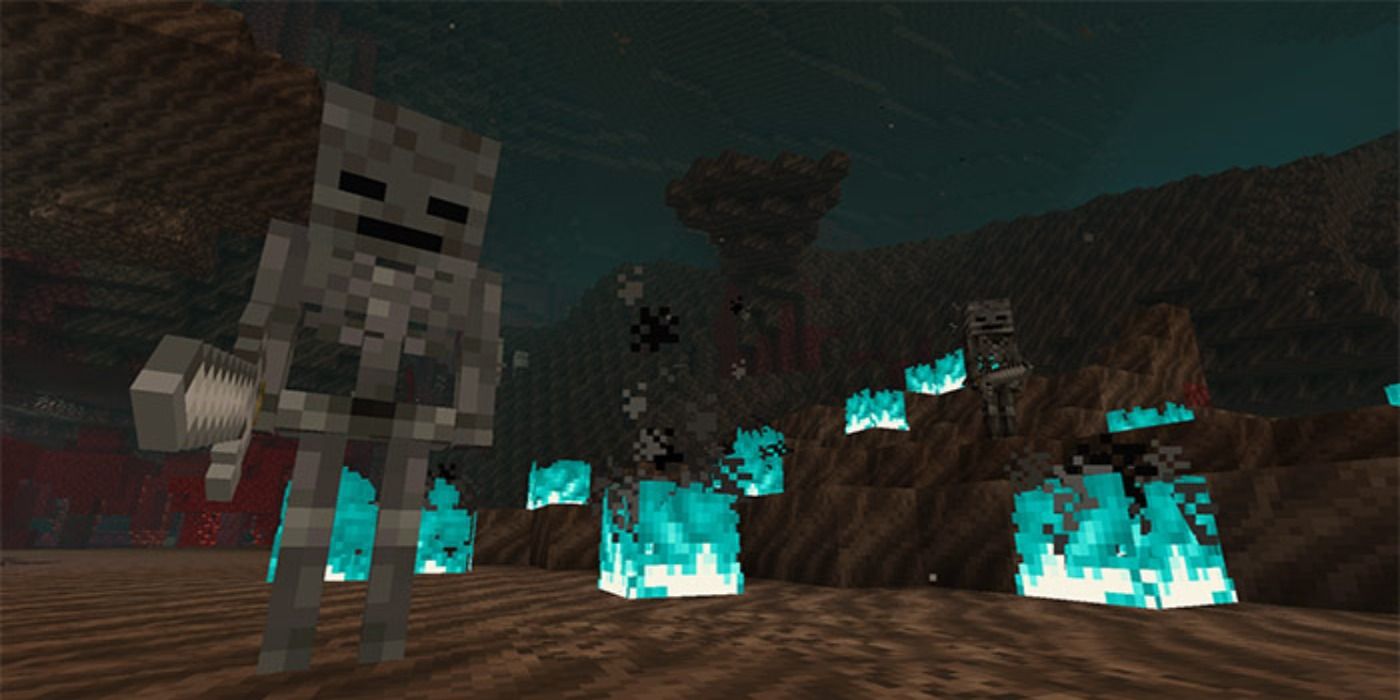 What the story of minecraft is skeletons nether