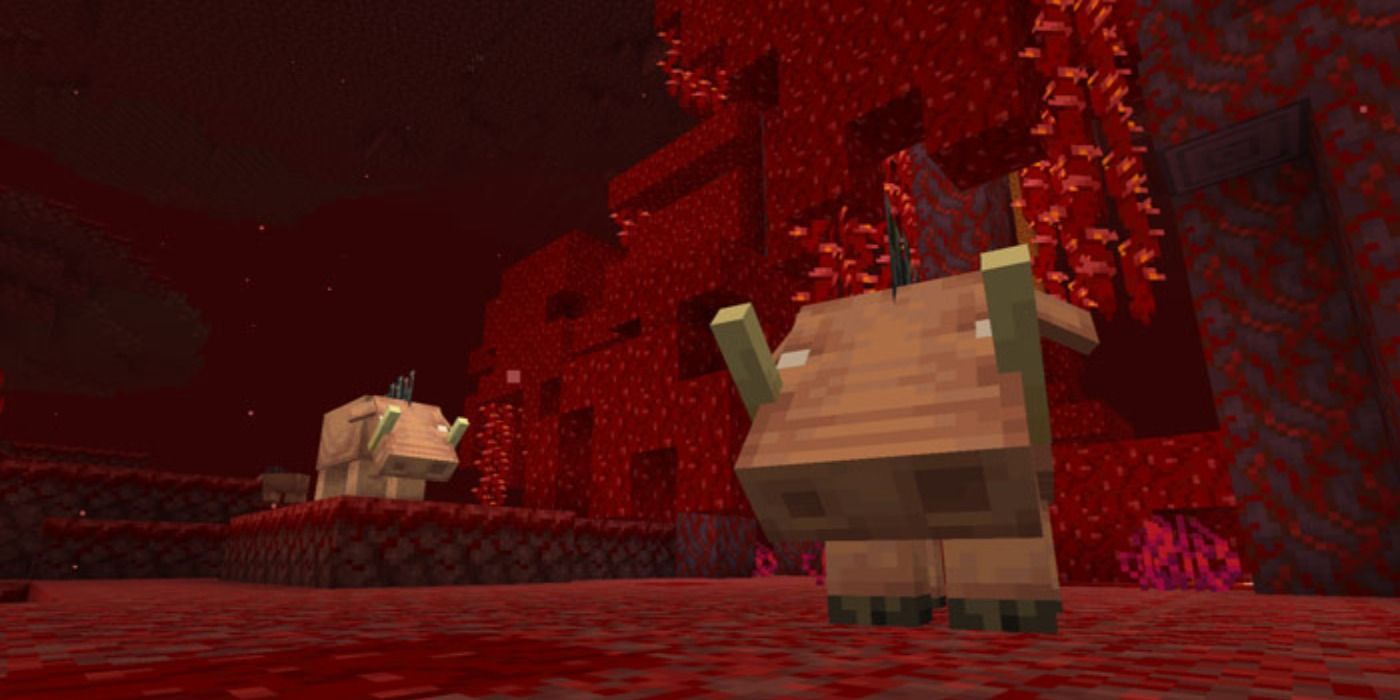 An image of two Hoglins inside the Nether in Minecraft
