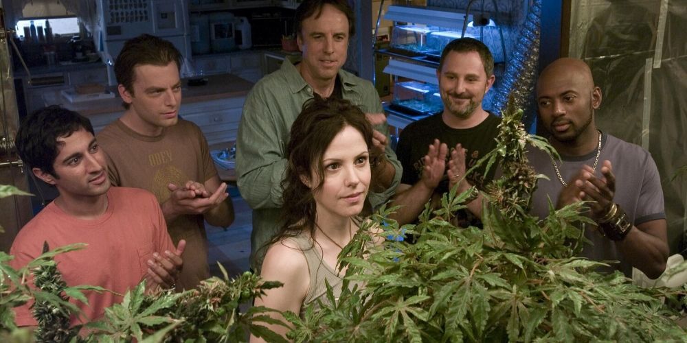 Nancy and her cohorts are looking at the weed grown product