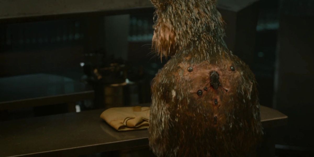 Guardians Of The Galaxy 10 Things That Make No Sense About Rocket