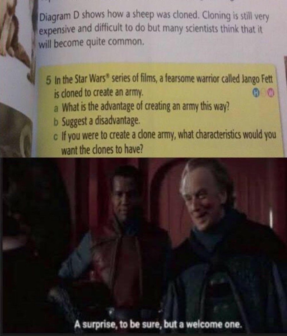 Star Wars The 10 Most Hilarious "A Surprise To Be Sure, But A One" Memes