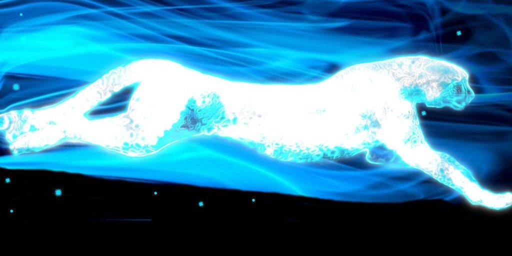 cheetah patronus