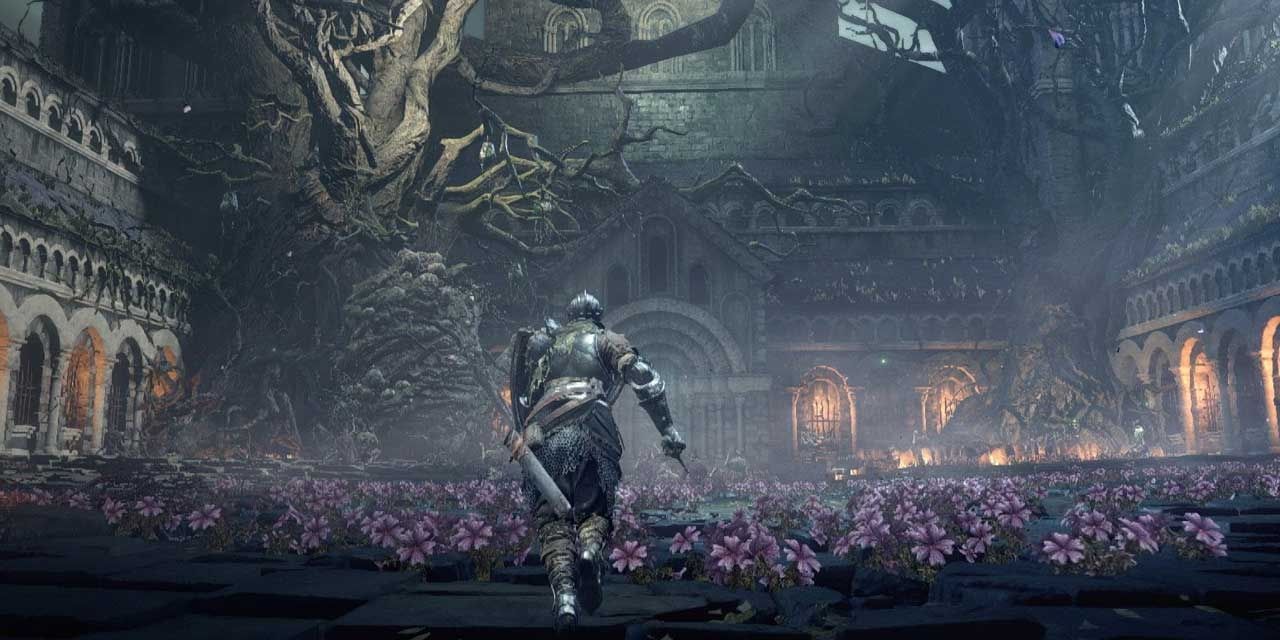 A Dark Souls player speedrunning through a field of flowers.