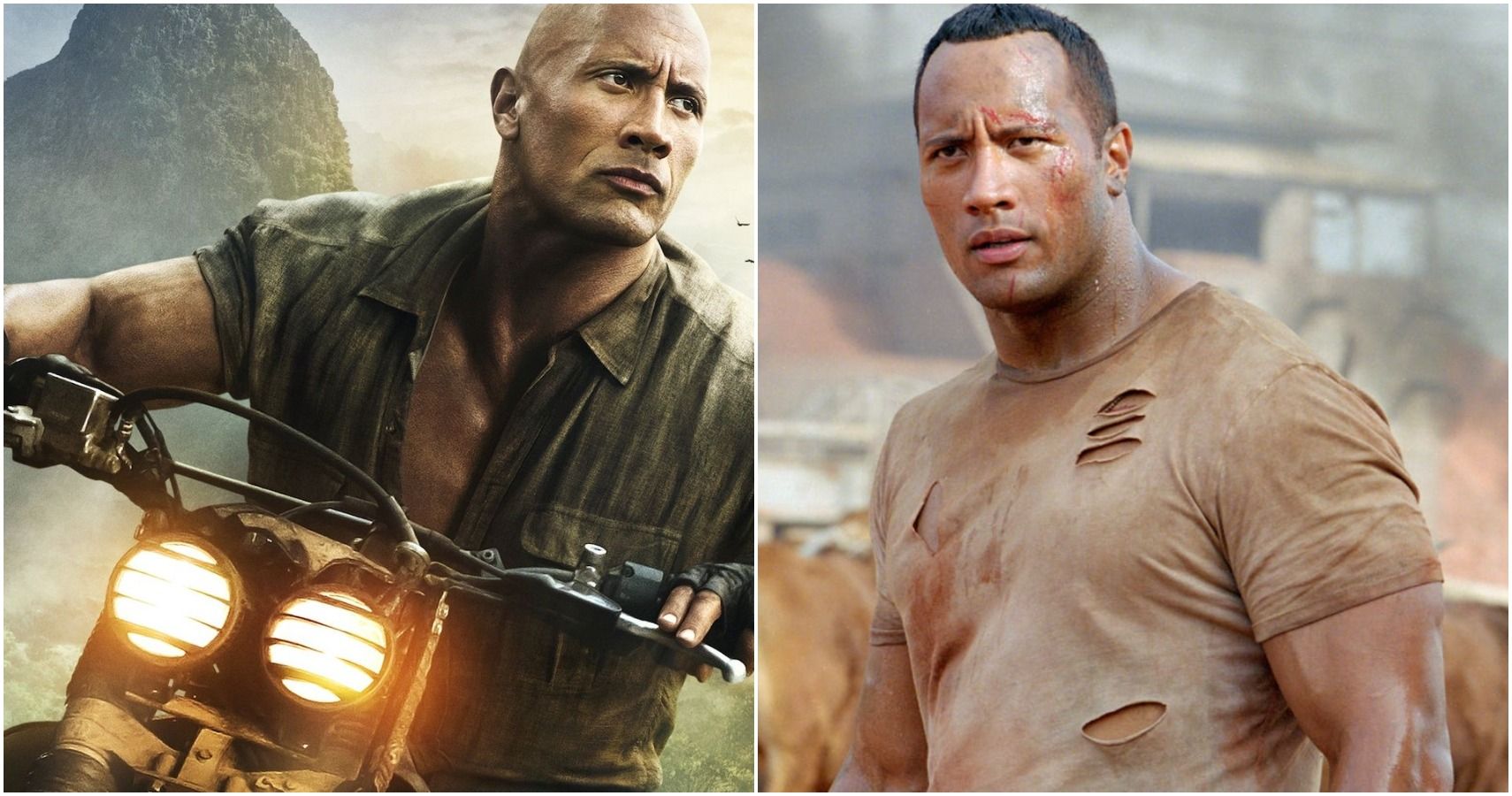 Top10 Dwayne The Rock Johnson Movies , the rock movies