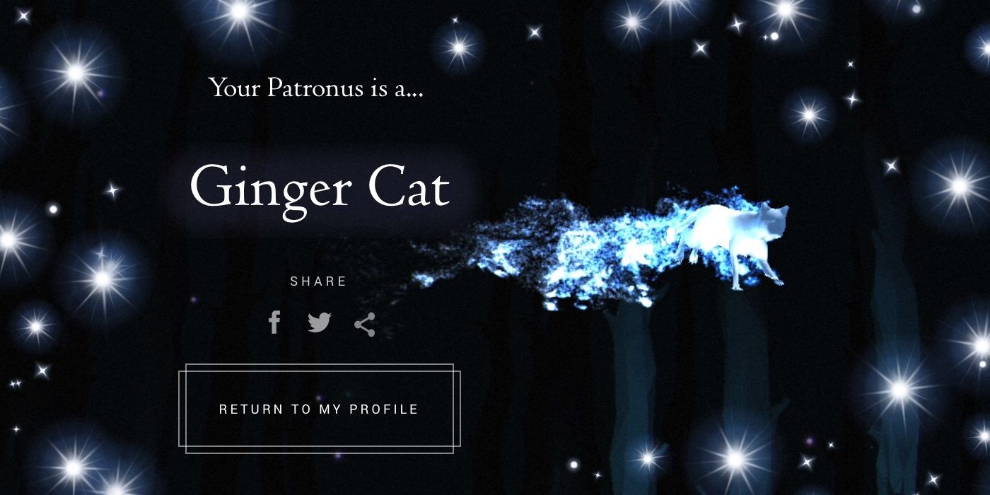 ginger cat patronus