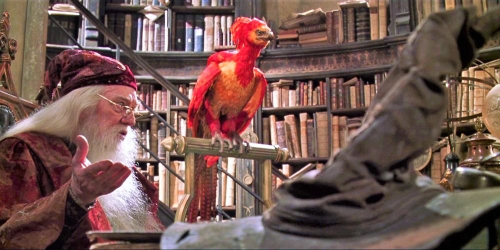 Fawkes percged on a rod in Dumbledore's office