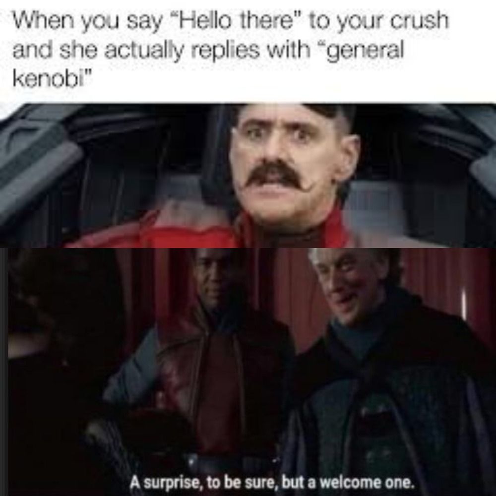 Star Wars The 10 Most Hilarious "A Surprise To Be Sure, But A One" Memes