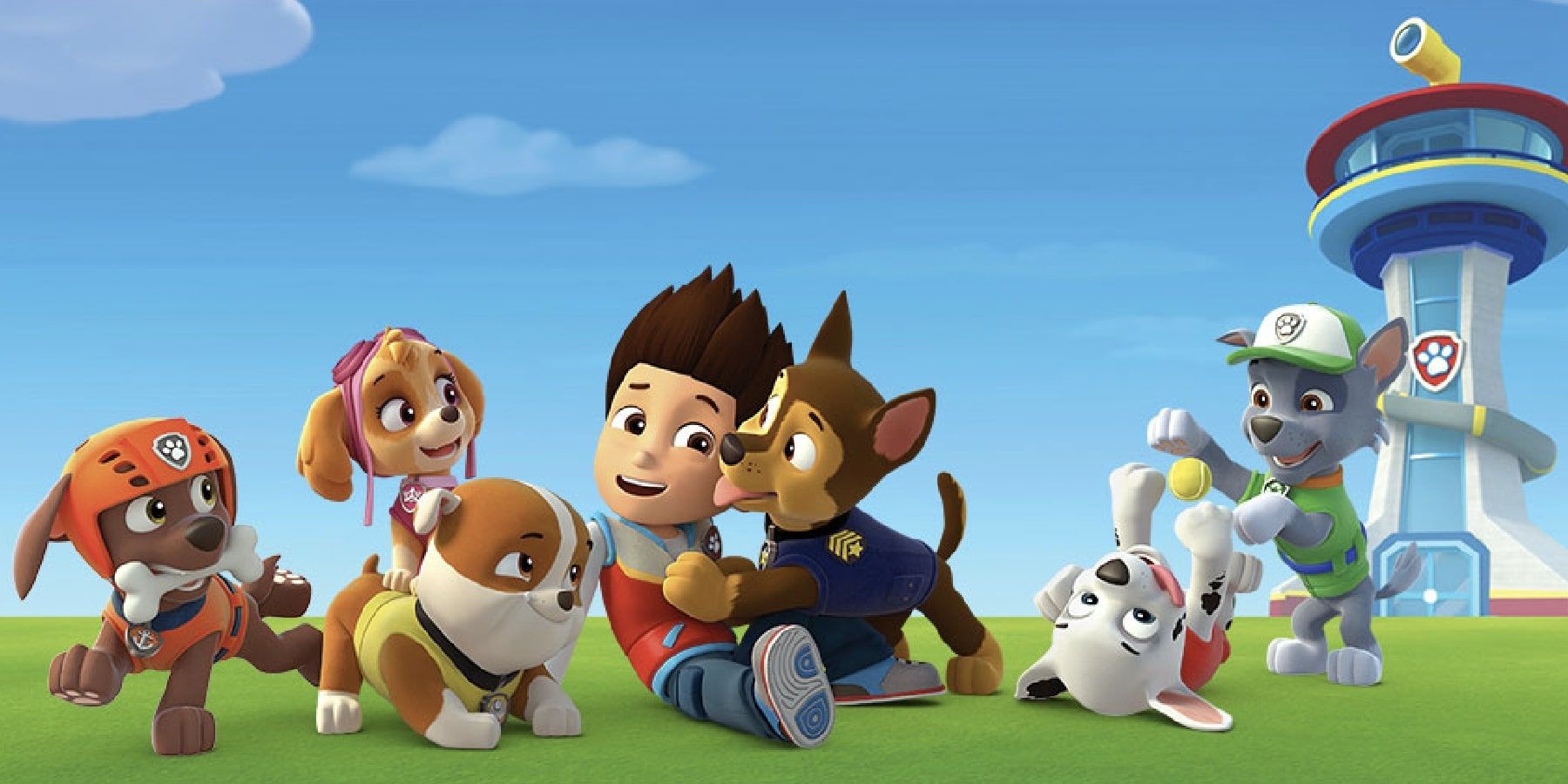 The dogs all playing with a young man in Paw Patrol