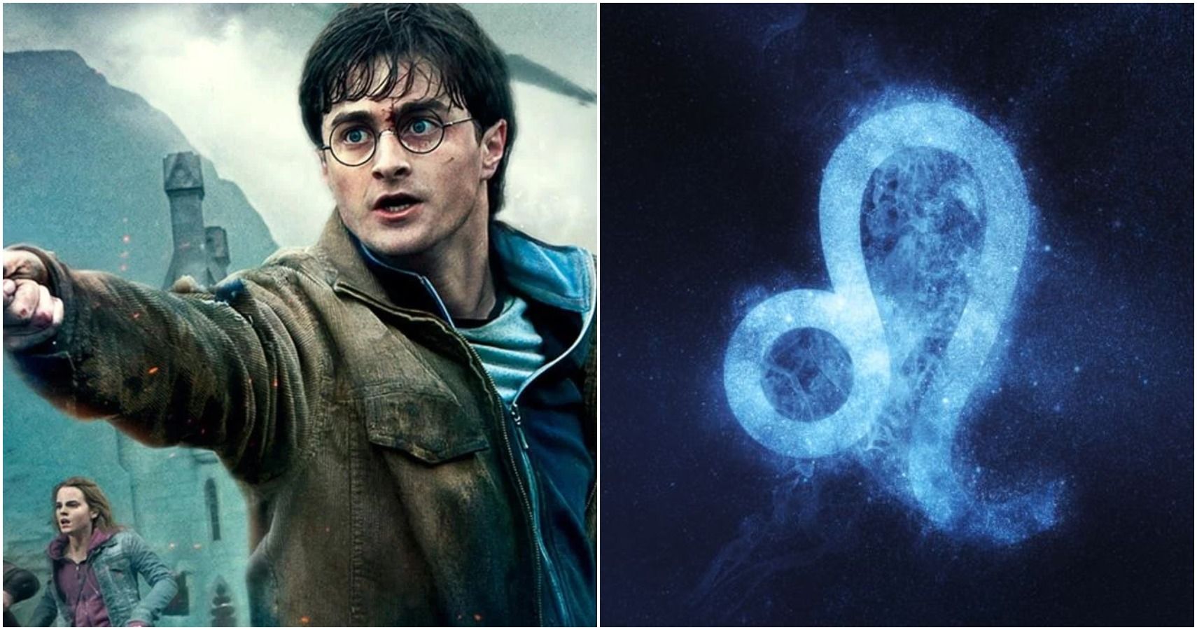 harry potter leo feature