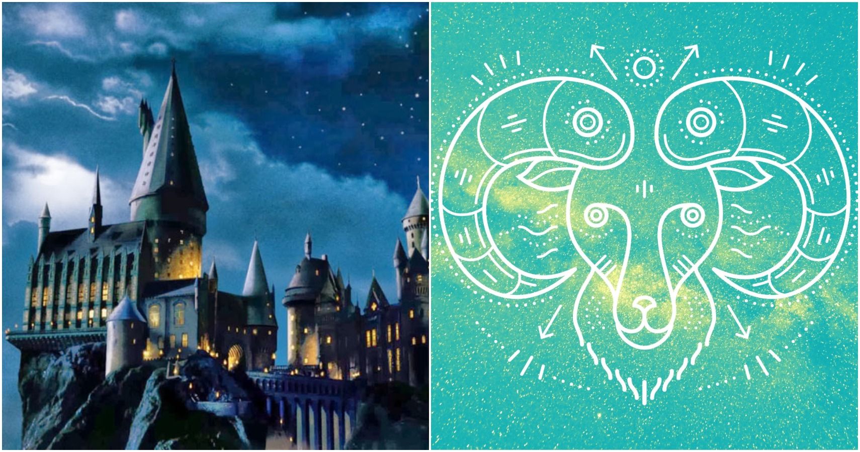 hogwarts aries feature