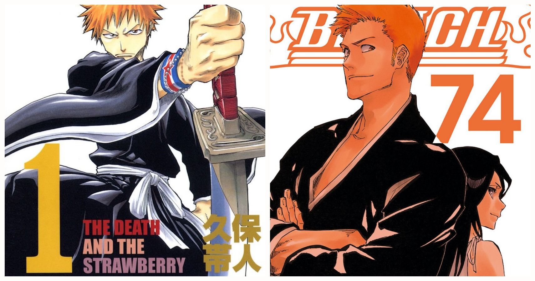 bleach soul society arc