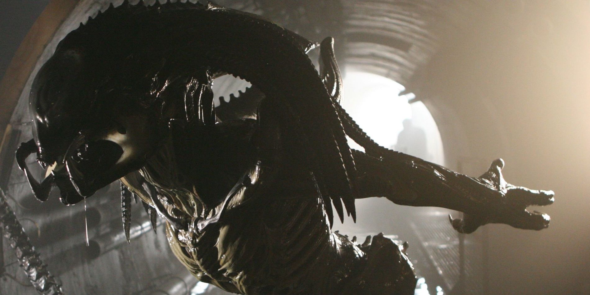 Every Type Of Xenomorph In The Alien Franchise Explained