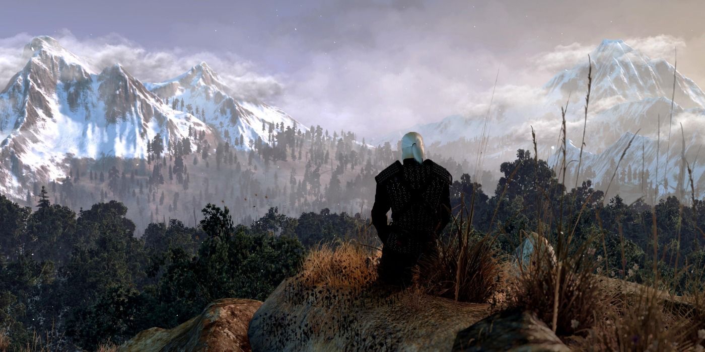 the witcher 3 meditation
