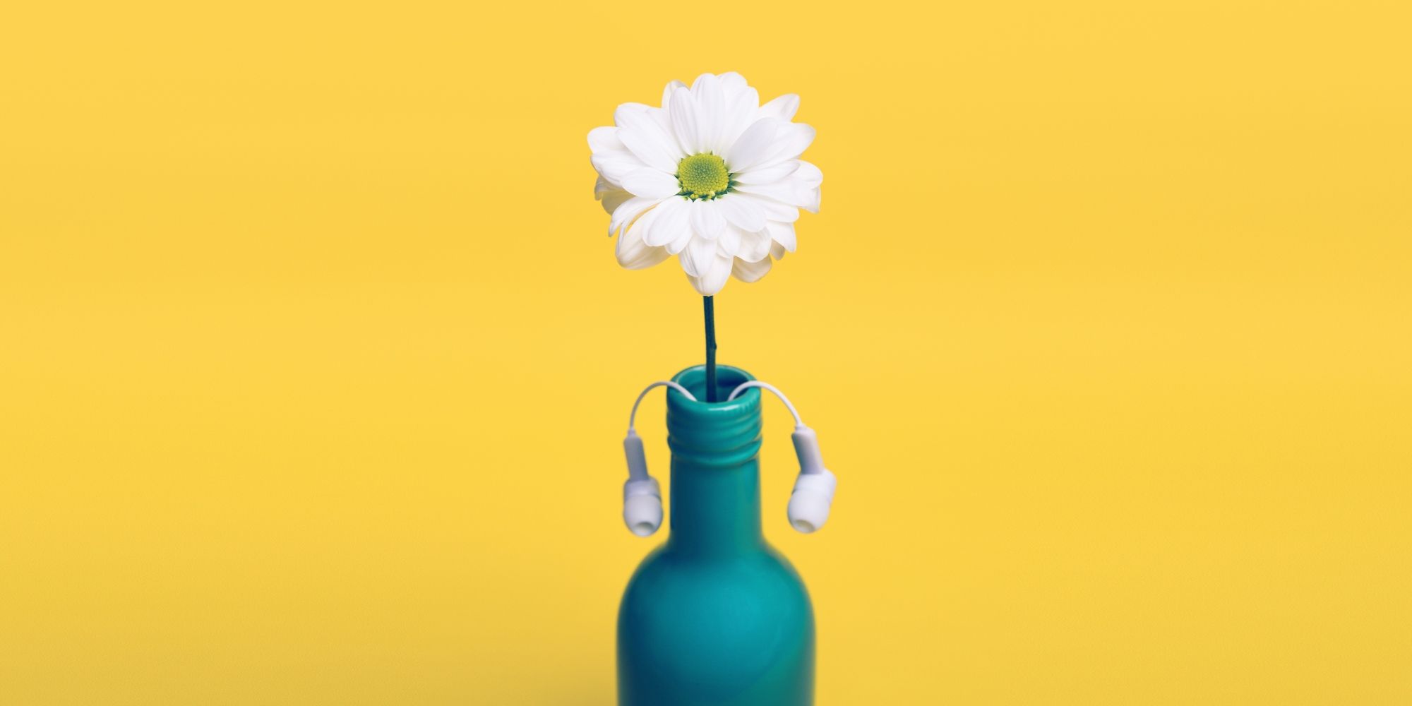 wired3