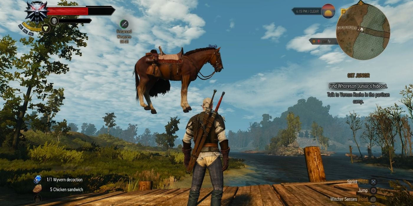 witcher 3 glitch