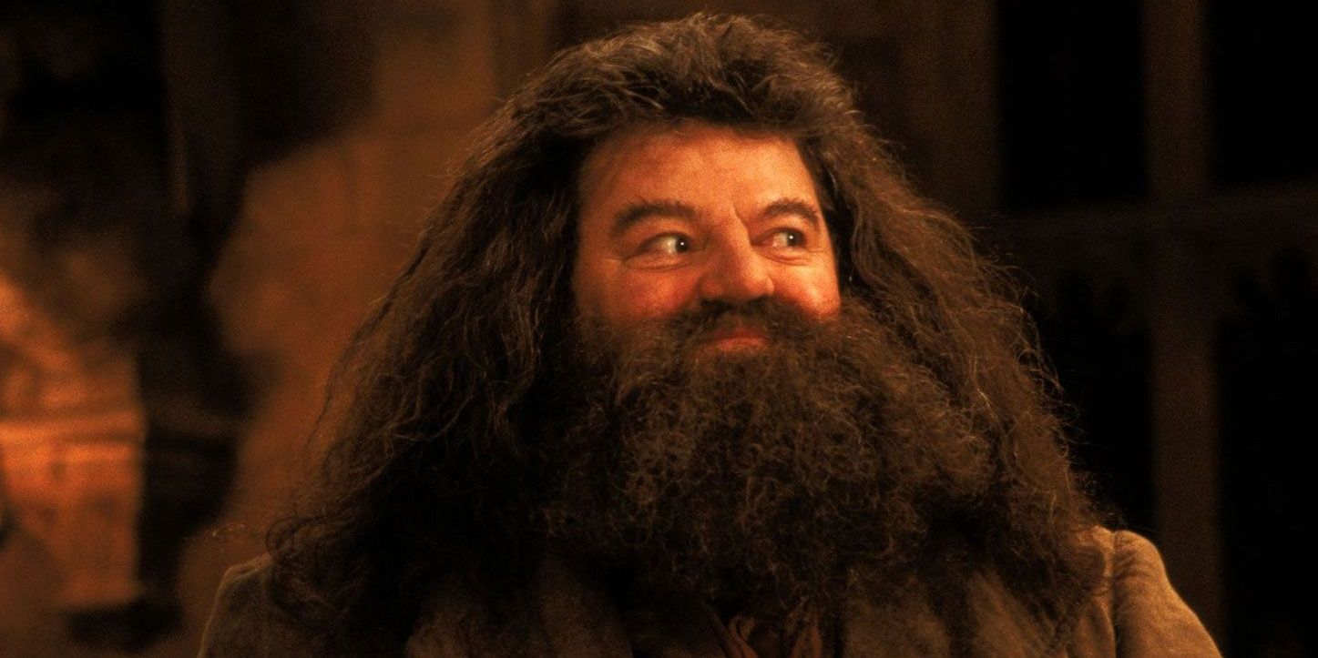 Hagrid smiling while looking to the side